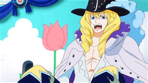 Ван пис прикол больше гламура one piece amv cavendish. **Cavendish** - One Piece Photo (38170832) - Fanpop