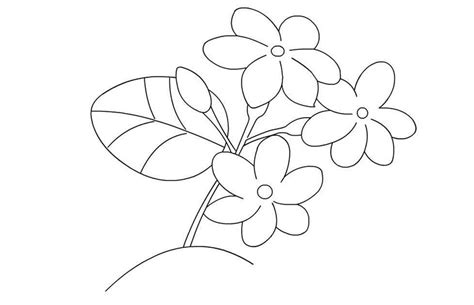 Contoh gambar mewarnai bunga matahari ~ bunga memang punya keindahan yang membuat kita lebih bersemangat dalam menghadapi. Paling Keren 30 Gambar Bunga Matahari Untuk Diwarnai di ...
