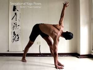 The characters in the string are considered to . Alphabetical Yoga Poses Index