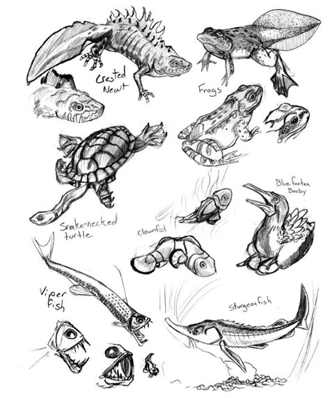 It must include a source of electricity, such as a battery. Animal Studies - Sea Animal by Gingco on DeviantArt