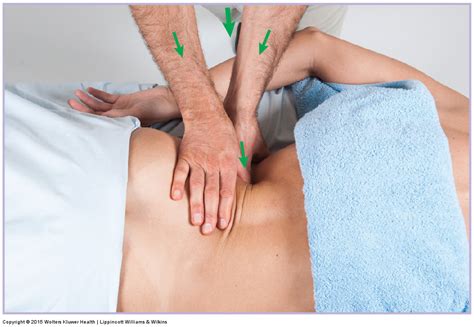 A back massage involves a trained massage therapist applying pressure to the back in order to manipulate muscles and skin. Muscle and Bone Palpation of the Low Back and Pelvis