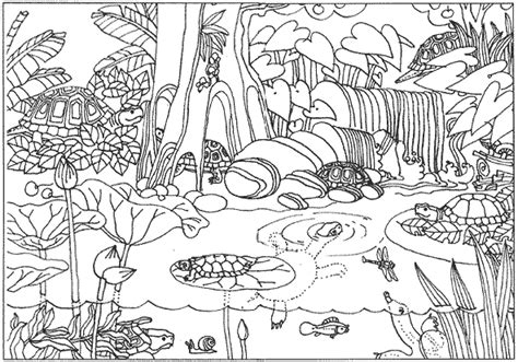 Free printable rainforest animals coloring pages for kids that you can print out and color. Amazon rainforest coloring pages brazil | Jungle coloring ...