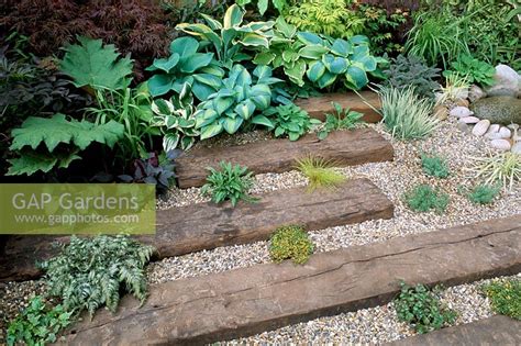 Here are six garden design ideas with pebbles and garden paving ideas and photos, to get you started. GAP Gardens - Hostas grow between railway sleepers set ...