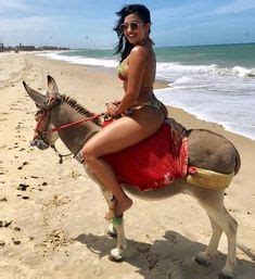 Sitting on camel with animal head with bridle in front. 59 Best Donkeys images | Donkey, Horses, Graeme smith