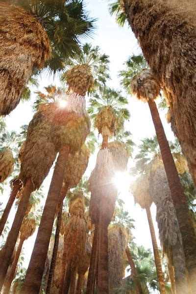 Nestled in the heart of downtown palm springs, california, is the agua caliente casino. Outdoor Adventures Await in Greater Palm Springs