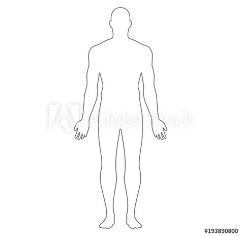 In addition to body positions, there are other parameters to study human anatomy. Anatomical Position Blank Human Body Diagram - Definitions in Anatomy and Physiology / Covers ...