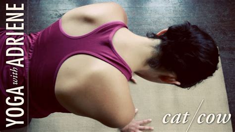 Learn how to perform it properly. Cat Cow Pose - Yoga For Beginners