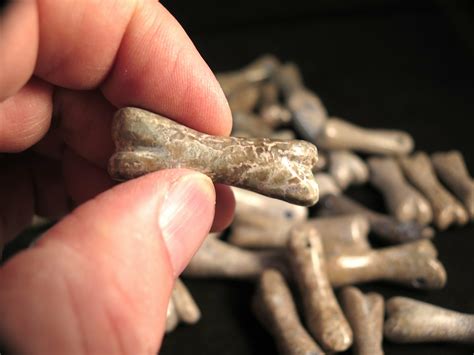 Dinosaur bone is a quest item needed for roll the bones. Pendent of Real Dinosaur Bone