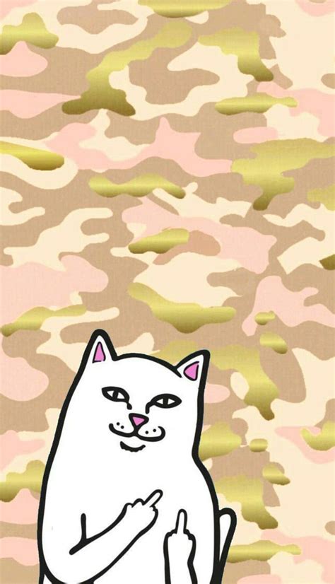 Maybe you would like to learn more about one of these? 32 best Ripndip images on Pinterest | Iphone backgrounds ...