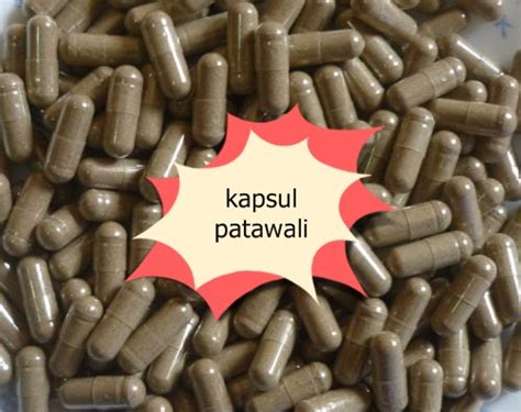 Madu mengandungi antibiotik yang boleh melindungi dan recover luka dengan cepat. Shahkb Online: Whatsapp 017 930 6329: Batang Wali / Akar ...