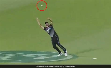 Your reddit account must be older than 10 days and have at least 50 combined karma to post a new thread in /r/cats. NZ vs Pak Daryl Mitchell Takes One-Handed Blinder Catch To ...