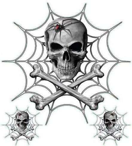 Bright colors can mean dangerous poison or venom, but a lot of animals adopt bright colors spiders are no exception. Black Widow Spider Skull Decal - Lethal Threat