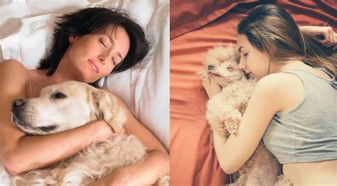 Study Says Women Sleep Better With a Dog By Their Sides