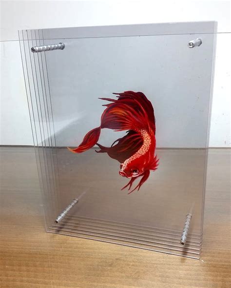 Painted plexiglass wall art diy! Betta Fish in Red 8 x 10 x 3, acrylic on plexiglass ...