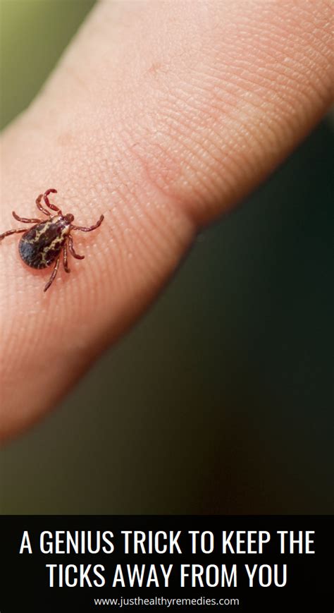 Why do i keep getting ticks on m. A Genius Trick to Keep the Ticks Away From You | Diy ...