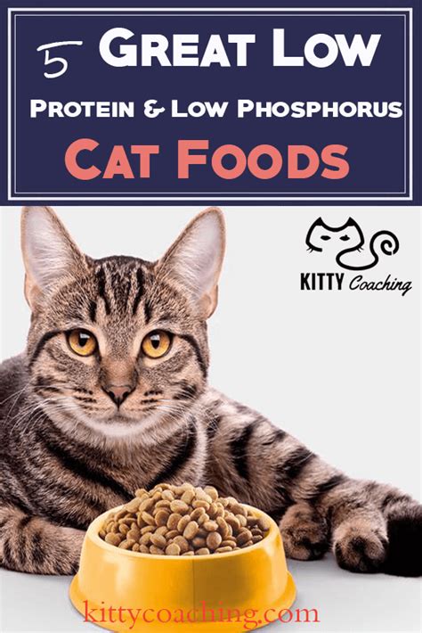 Giving them the same type of food. Low Protein & Low Phosphorus Cat Food Reviewed | Cat food, Cat diet, Low phosphorus foods