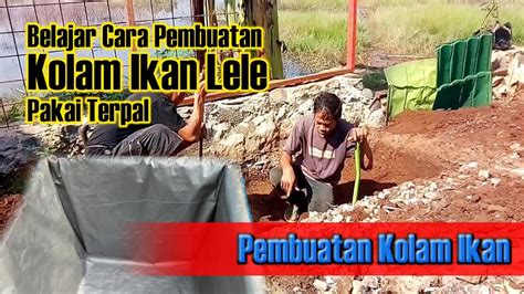Cara membuat kolam ikan minimalis dari bahan semen. Cara Pembuatan Kolam Ikan Lele - Belajar Cara Membuat ...