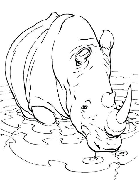 Yoshi's house is located where mario and luigi begin their jouney, with the yellow switch palace at the summit of kappa mountain to the northwest, and #1 iggy's castle to the northeast. Rhino Coloring Page Images. Rhinoceros are large mammals ...