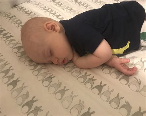 Purchasing a highly rated organic crib mattress should help ensure that your baby grows up safe and free of any such potential threats. Is a non-toxic organic crib mattress worth it? - Go Green ...