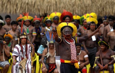 Brazilian tribes back manifesto to save Amazon habitat from President Bolsonaro | Guyanese Online