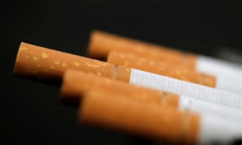 Latest news from south africa, world, politics, entertainment and lifestyle. FITA's bid to have tobacco sales ban lifted suffers ...