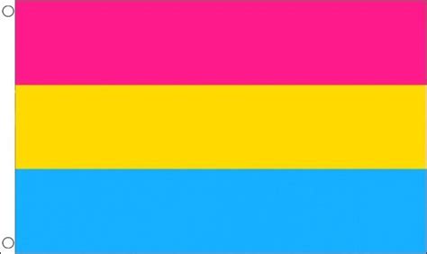 Für sie ist nicht das geschlecht/die geschlechtsidentität ausschlaggebend, sondern die person. Pansexuell - Fahne L 90 x 150 cm - Rainbowshop