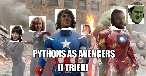 No title as the meme caption. Pythons as Avengers. I tried. - Imgflip