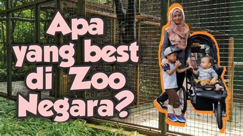 Ini tempat menarik di melaka yang murah. APA YANG BEST DI ZOO NEGARA? - BY FIMI PALM - YouTube