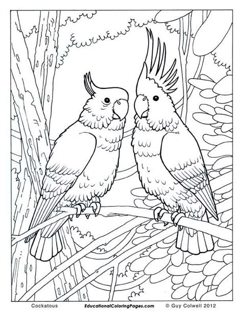 The bear coloring page for kids and adults from cartoon series coloring pages, masha and the free printable coloring sheets for kids. Free Wildlife Coloring Pages - Coloring Home