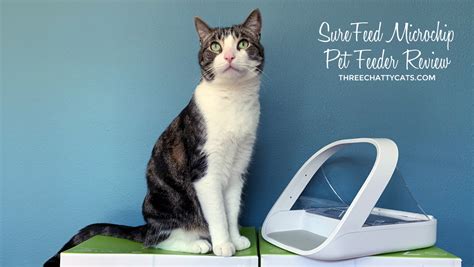 Surefeed microchip small dog & cat feeder. SureFeed Microchip Pet Feeder Review | Three Chatty Cats