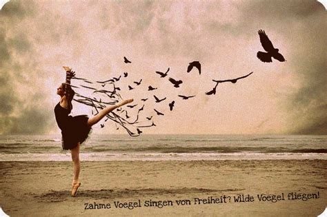 Zitate zeigen die bedeutung des begriffes freiheit und die bedingungen dieses gefühls sehr eindrucksvoll. Die Schutzvereinigung der arglosen Poeten und Poetinnen ...