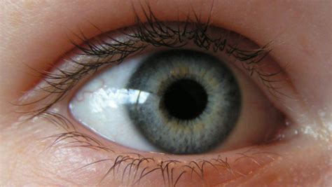 Ieder oog heeft 2 oogleden: Oog Veur N Oog' deur Bert Hadders | Webloug
