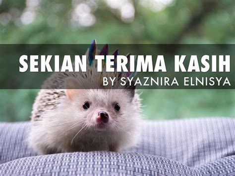 Faktor penentangan mat salleh sifat : Mat Salleh by Syaznira Elnisya