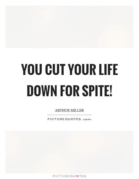Enjoy reading and share 100 famous quotes about spite with everyone. Spite Quotes | Spite Sayings | Spite Picture Quotes