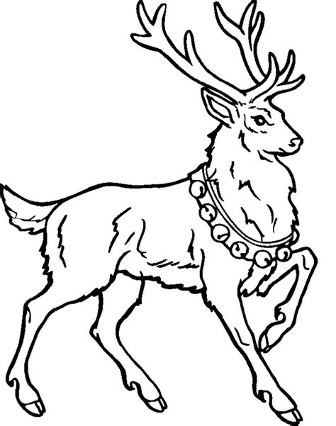 These reindeer christmas coloring pages are perfect for kids of all ages. Free Printable Reindeer Coloring Pages For Kids