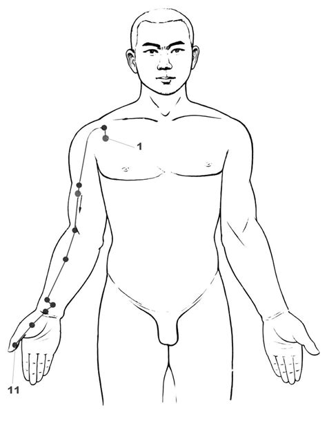 Shang yang / metal yang. Lung Meridian | Acupressure, Acupuncture, Shiatsu massage