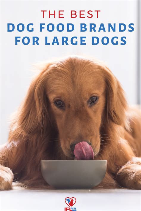 Make sure you medium sized breed receives food with at least 22% protein. 2020 Best Dog Food Brands for Large Breeds / Best Dog Food ...