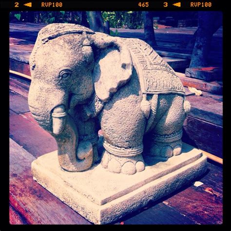ช้างน้อยในสวนทิพย์ little #elephant in the #garden ... #SuanTip # ...