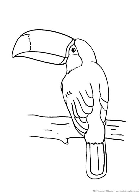 4.5 out of 5 stars. Toucan Coloring Pages - GetColoringPages.com