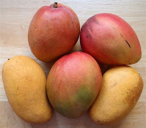 Wir haben für sie einige tipps zur zubereitung und rezepte zusammengestellt. Wann ist eine Mango reif? Mit dem Reifetest eine saftig ...