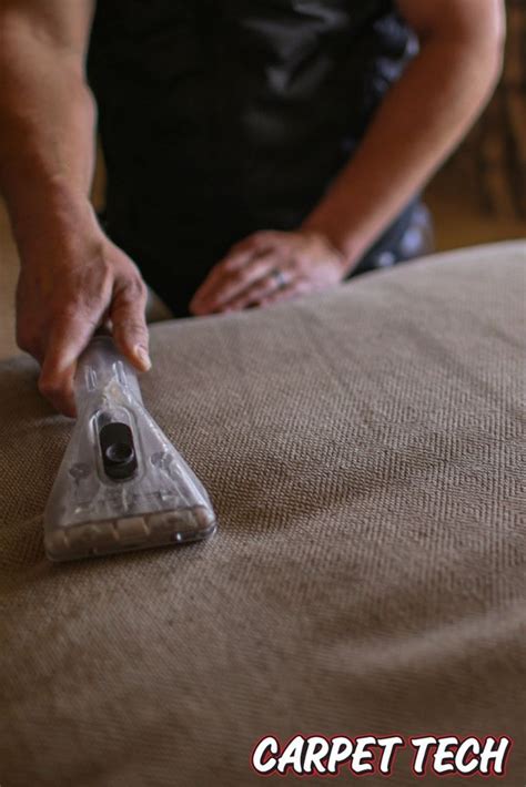 Always coughing and sneezing even during the off season? Wake Up Your Upholstery with a Professional Cleaning ...