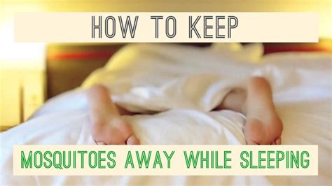 We did not find results for: 12 Amazing Way to Keep Mosquitoes Away While Sleeping ...