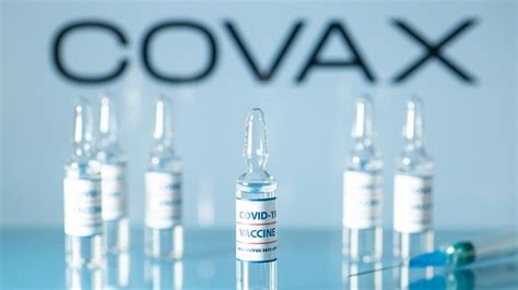 Eventually, the covax initiative aims to give 20% of each country's most vulnerable population a vaccine. Initiative Covax de vaccination contre le Covid-19 en ...