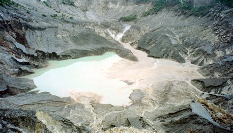 Di tengah hutan sang raja membuang air seni yang tertampung dalam daun caring (keladi hutan). Pangandaran Trip: Mount Tangkuban Perahu