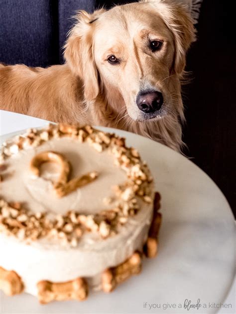 Sinfully sweet and oh so tempting; Pumpkin Dog Cake | Recipe | Dog cake recipes, Dog cake recipe pumpkin, Dog recipes