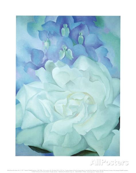 All prints, paintings and photos included in www.georgiaokeeffe.org are provided as an affiliate to art.com and amazon.com who hold necessary permissions. White Rose with Larkspur Prints by Georgia O'Keeffe ...