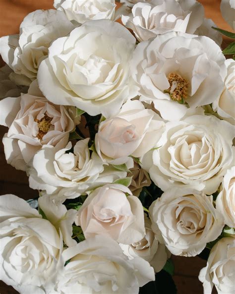 Interestingly, there are plenty of lovely blossoms that bloom this month and make up for a perfect wedding bouquet. Home | White spray roses, Wedding flowers, White roses