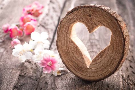 Dein lebensbaum soll dir viel licht und sonnenschein in dein leben bringen! Glückwunsch Sprüche Zur Hochzeit Mit Einen Baum ...