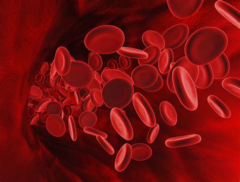 Running can cause you to lower your red blood cell count slightly. Cultured Human Red Blood Cells