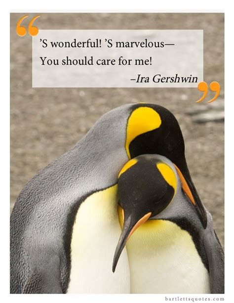 Summer is a latvian chicken. "'S wonderful! 'S marvelous--You should care for me!" -Ira Gershwin #lovebartletts #penguins # ...